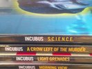 incubus ALL FIVE RECORDS record store day BLACK FRIDAY RSD 2012 (5) morning view