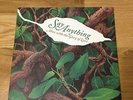 Say Anything Alive With The Glory of Love 7