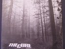 The Cure - A FOREST 12