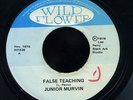 Junior Murvin - False Teaching / Upsetters - Teacher's Dub JA orig 7