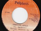 Vivian Jackson & Horace Andy - Undivided World - KILLER