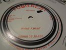 Junior Delgado What a Heat Killer 80s Roots 12