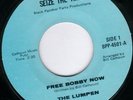 The Lumpen Black Panther Party RARE 45 Free Bobby Now 60s Political FUNK MINT-