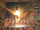 SHORTY Thumb Days LP Original Pressing/skin graft records/us maple/big black/qui