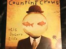 Counting Crows This Desert Life 2LP Excellent Condition