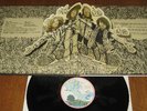 Jethro Tull Stand Up LP Pink Rim Island Press ex/ex Condition.