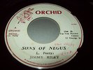 JIMMY RILEY Sons of negus JA Orchid LEE PERRY