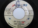ANDY ANDERSON You Shake Me Up APOLLO Rock n' Roll