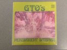 GTO's Permanent Damage Produced by Frank Zappa