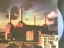 PINK FLOYD ANIMALS LP COLOR VINYL