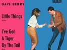  RARITÄT   DAVE  BERRY  mit Original-Cover