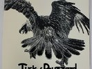 LP Tucky Buzzard - Buzzard, Purple / EMI DE 1973, 1C062-94729 Vinyl Schallplatte