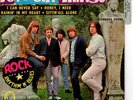 Disque Vinyles 45T Les Pretty Things I can never say Honey i need