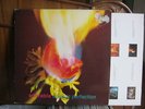 ADORABLE-AGAINST PERFECTION..RARE CREATION LP 1993 UK.NM/EX