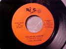 FINAL DECISIONS RARE 70s DETROIT NORTHERN SOUL CROSSOVER 45 on HI-C Hear
