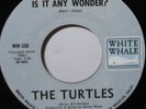 THE TURTLES WANDERIN' KIND/IS IT ANY WONDER