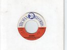 SKA/REGGAE SINGLE: WINSTON WRIGHT - MESH WIRE - TROJAN UK 1970
