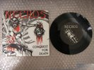 NECROS CONQUEST FOR DEATH KBD PUNK TOUCH AND GO