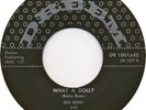 Red Lou Berry  Dreem 1001  Hot Rod / What a Dolly  Surf / Rockabilly