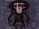 Spacemonkeyz VS Gorillaz LP