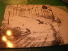 BURZUM  hvis lyset tar oss   LP first press   COLOURED  ABSURD   HORNA