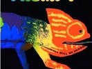 FRUMPY All will be changed-Vinyl 1970  Krautrock-Gimmick-Cover