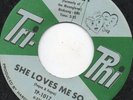 Harvey - She Loves Me So - Original Rare Tri - Phi 7 Inch Single