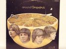 GRAPEFRUIT LP Around Grapefruit 1970 Dunhill psychedelic