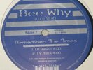BEE WHY (LONE WOLF) REMEMBER THE TIMES RARE SEALED INDIE RAP