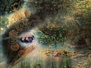 PINK FLOYD:  A Saucerful of Secrets ( EMI Columbia, 1968)  NM- or better 