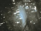 Yeah Yeah Yeahs - Is Is Double 7 inch vinyl gatefold