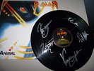 DEF LEPPARD SIGNED ANIMAL SIGNED ALBUM  LP RECORD