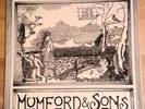 MUMFORD AND SONS - Love Your Ground 10