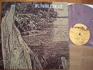 RUMBLESEAT Chuck Ragan - is dead LP * Hot Water Music THE REVIVAL TOUR Folk Punk