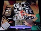 Carcass Necroticism Descanting The Insalubrious Rare LP