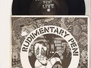 RUDIMENTARY PENI 
