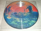 Rare 33t picture disc de pink floyd more  collector  parfait etat