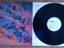 Liliput Self-Titled LP ROUGH TRADE 43 Original Pressing KLEENEX SWISS PUNK NM