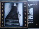 Swell 41 Rare UK 1994 LP + Innerbag Top