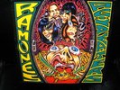 LP RAMONES acid eaters SPANISH rare 1993 VINYL vinilo