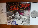 Sonic Youth EVOL LP 1986 ORIGINAL SST 059 NM- Vinyl Records +insert RARE