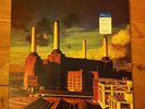 Original Pink Floyd Animals 1977 12