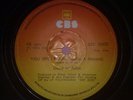 DEAD OR ALIVE ,  SOUTH AFRICA  PRESSING , YOU SPIN ROUND , NO RES