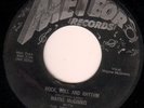 wayne mcginnis 45 meteor 5035 rock, roll and rhythm/lonesome rhythm blues ORIG.