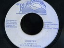 Cultural Roots - Cemetry JA orig 7