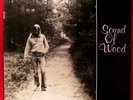 Dagobert Böhm – Sound Of Wood (1982) Mystic Kraut Folk - Private Tip