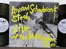 Armand Schaubroeck Steals 