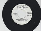 PHIL SPECTOR RECORDS: VERONICA promo MINT 45 WHY DON'T THEY LET US FALL IN LOVE