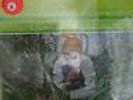 GRASSELLA OLIPHANT: Grass Is Greener 1967 Atlantic SD 1494 ORIG STEREO SEALED