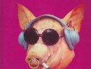 LP  BLODWYN PIG - AHEAD RINGS OUT...FOC....PINK ISLAND...849 301 UY...RAR
